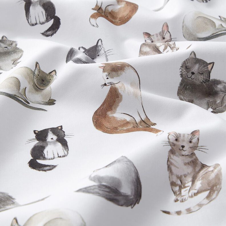 Popelina de algodão Gatos felizes Impressão Digital | Poppy Fabrics – branco,  image number 2