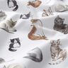 Popelina de algodão Gatos felizes Impressão Digital | Poppy Fabrics – branco,  thumbnail number 2