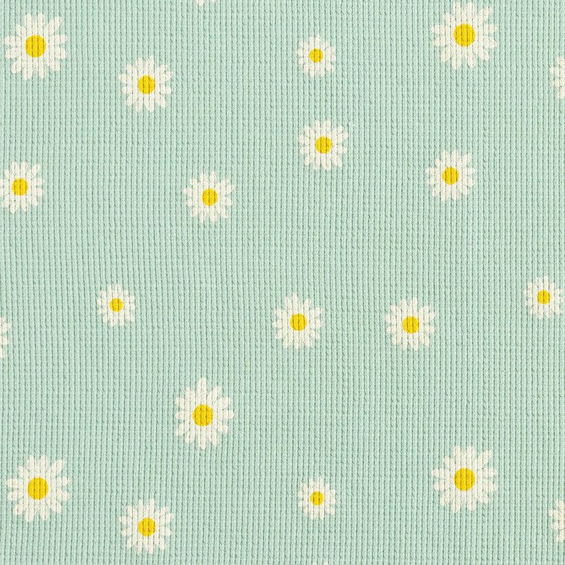 Jersey Favos Margaridas – menta clara,  image number 1