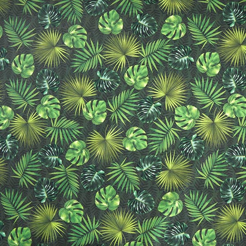 Tecido para exteriores Lona Folhas de palmeira – azeitona,  image number 1