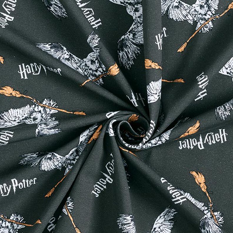 Jersey de algodão Tecido sob licença Harry Potter Hedwig com vassoura | Warner Bros. – cinza ardósia,  image number 3