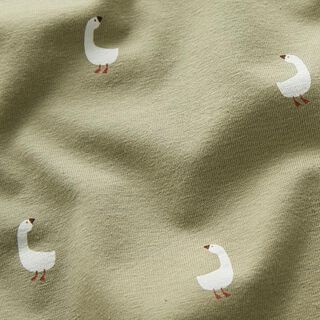 Jersey de algodão Gansos fofos – pistáchio, 
