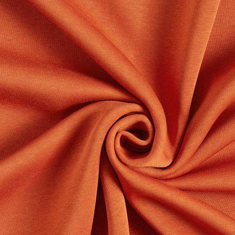 Sweatshirt Cardada – terracota,  image number 1