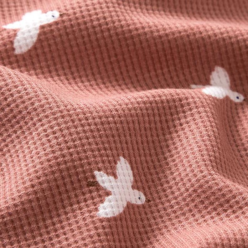 Jersey Favos Pássaros – rosa embaçado,  image number 3
