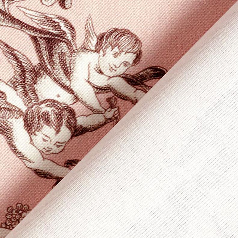 Tecido para decoração Lona Antigo 280 cm – rosa-claro/castanho,  image number 4