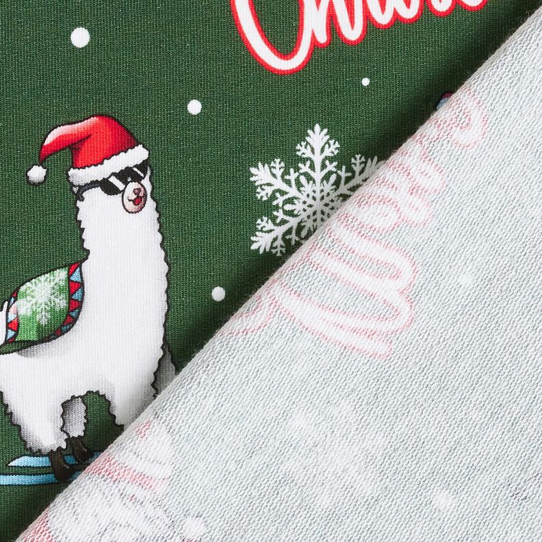 French Terry Sweat de verão Pai Natal e lama | Glitzerpüppi – verde pinheiro/cor de malagueta,  image number 4