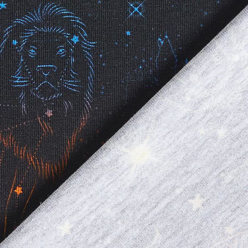 Jersey de algodão Tecido sob licença Constelações de animais heráldicos Harry Potter  | Warner Bros.,  image number 4