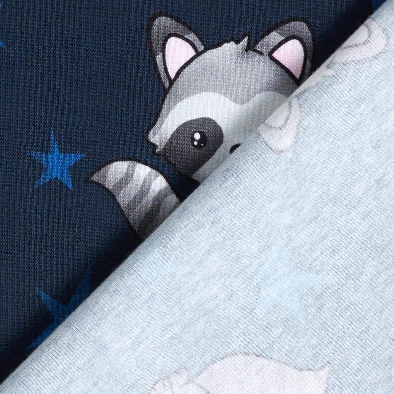 Jersey de algodão Guaxinim com estrelas | Glitzerpüppi – azul-noite/prateado,  image number 4
