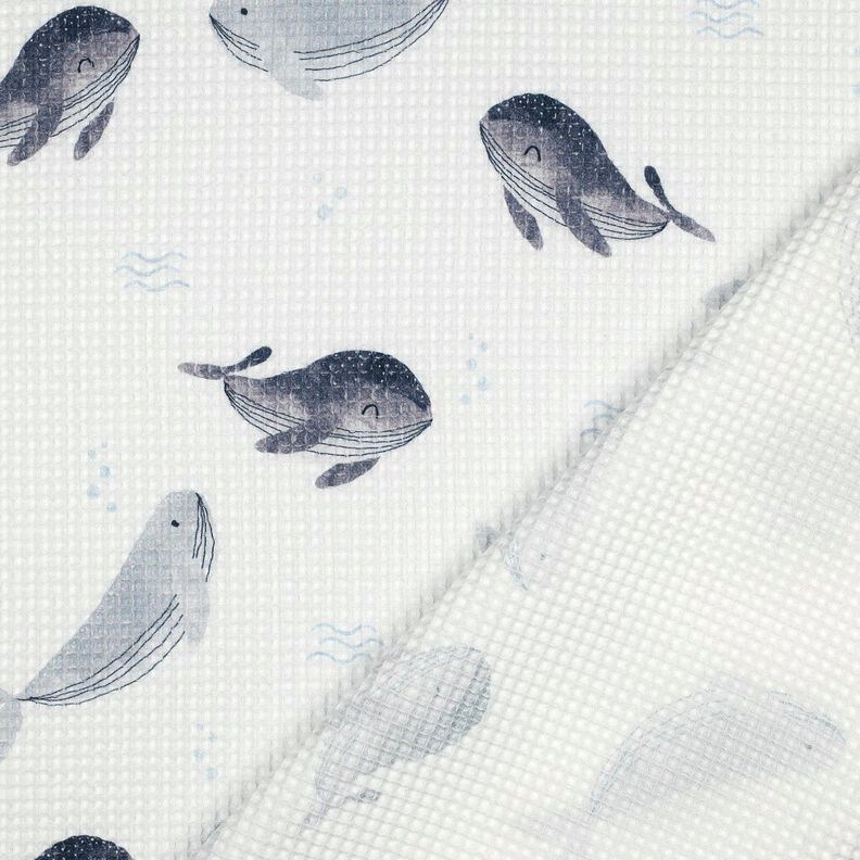 Tecido piqué em favo Baleias Impressão Digital | Poppy Fabrics – marfim/cinza claro,  image number 4
