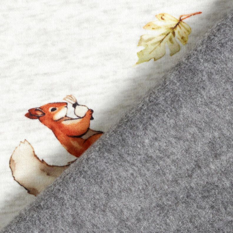 Tecido polar alpino Esquilo – natural/cinzento claro,  image number 4