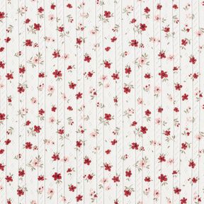 Ajour Jersey de algodão Florzinhas – marfim, 