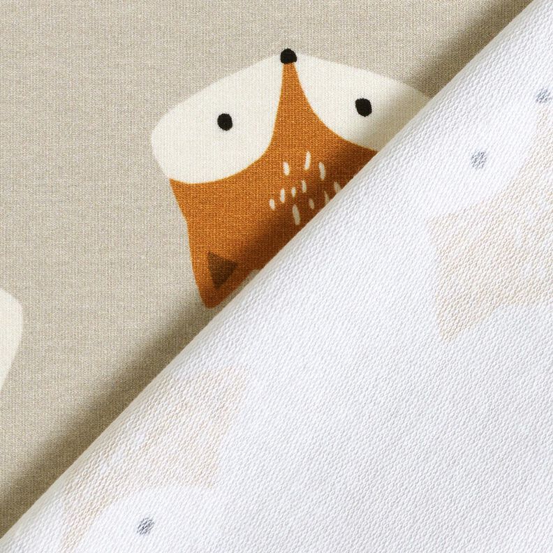 French Terry Raposinha – cinzento-prateado,  image number 4