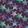 Softshell Estrelas – ameixa/roxo,  thumbnail number 1