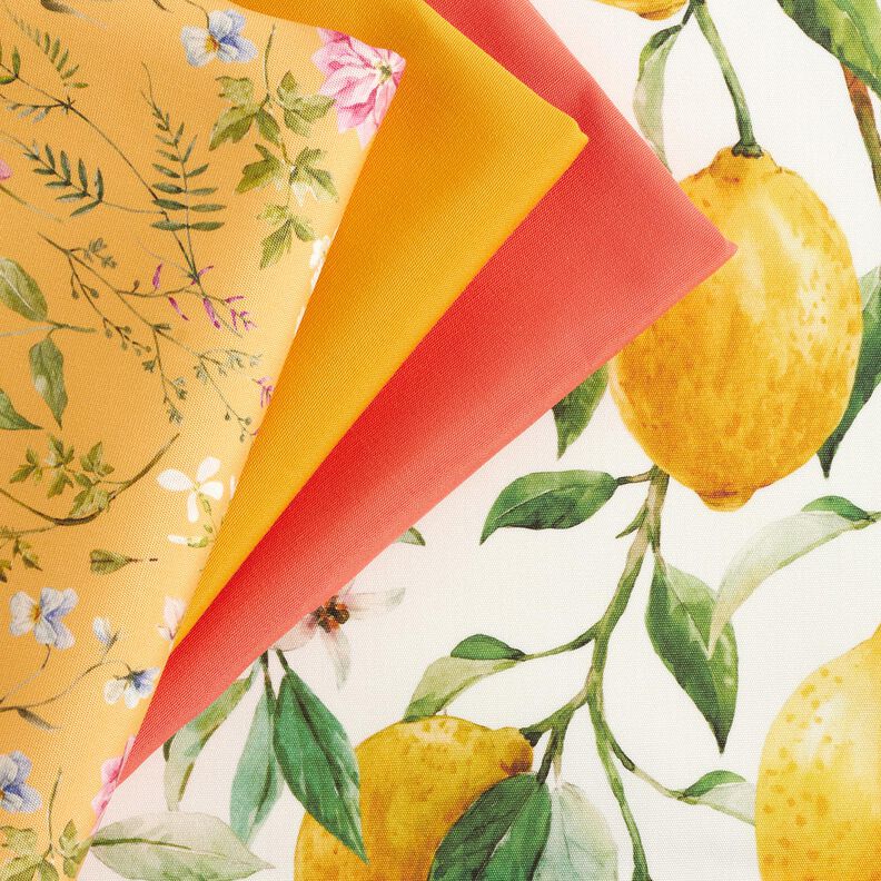Tecido para exteriores Lona Limões – marfim/amarelo-limão,  image number 6