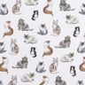 Popelina de algodão Gatos felizes Impressão Digital | Poppy Fabrics – branco,  thumbnail number 1