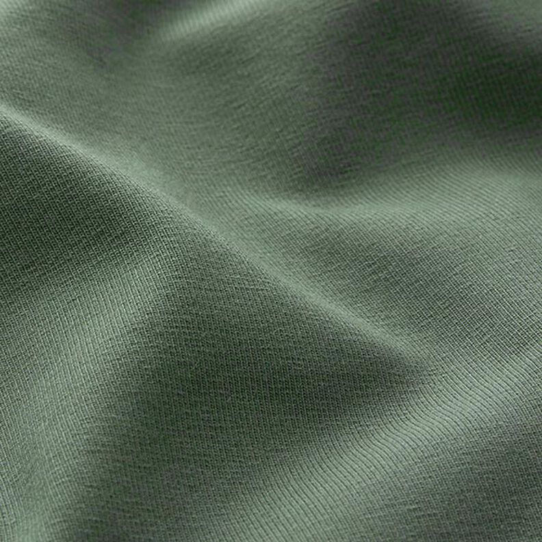 Jersey de algod&atilde;o m&eacute;dio liso &ndash; verde-pinheiro,  image number 4
