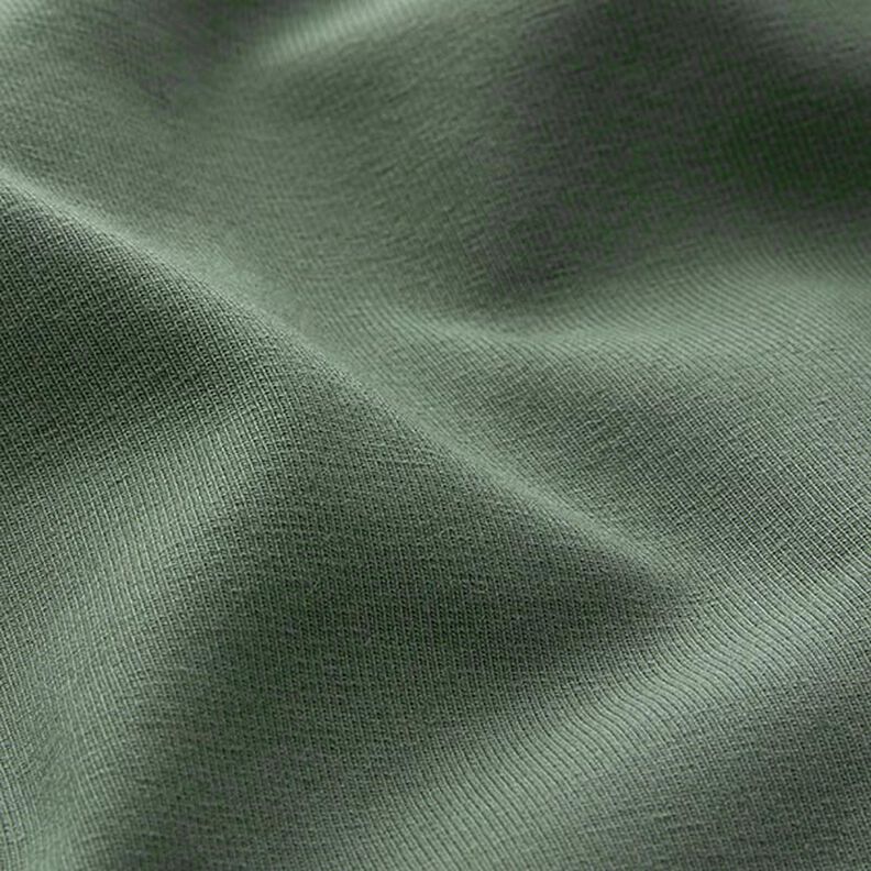 Jersey de algodão médio liso – verde-pinheiro,  image number 4