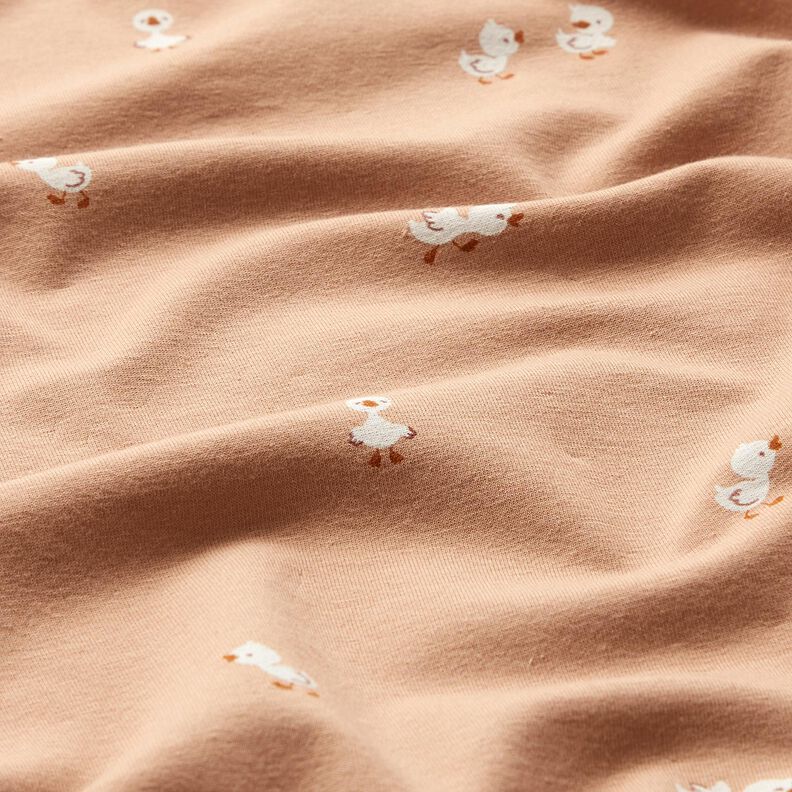 Jersey de algodão Pintainhos – castanho claro,  image number 2