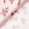 Tecido de algodão Cretone Florzinhas Mini – rosé/rosa intenso,  thumbnail number 4