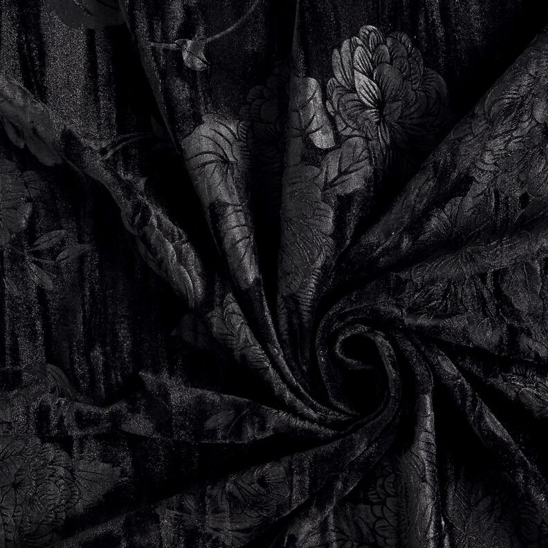 Crisântemo aveludado – preto,  image number 3